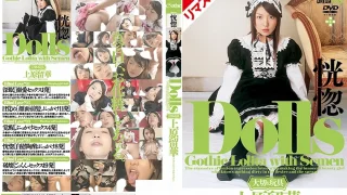 223REFXD011 - JAV - 7809