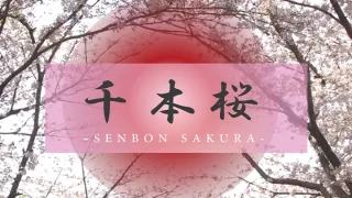 FC2PPV4467151 - JAV - 13369