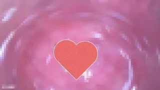 FC2PPV4502178 - JAV - 16798