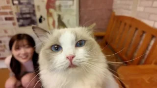 FC2PPV4511406 - JAV - 17742