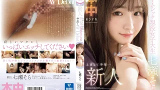 HMN609 - JAV - 21281