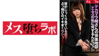781MESH024 - JAV - 25834