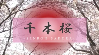 FC2PPV4585788 - JAV - 28383