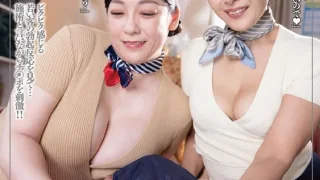 DANDY953 - JAV - 29984