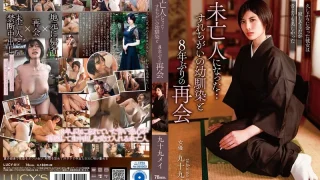 LUCY011 - JAV - 40478