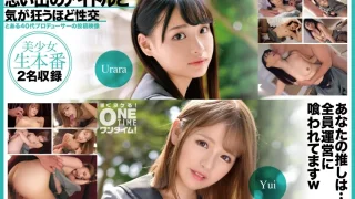 393OTIM528 - JAV - 41054