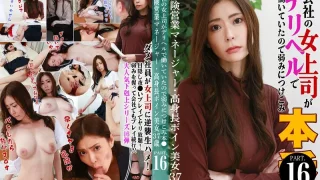 PARATHD4214 - JAV - 45315