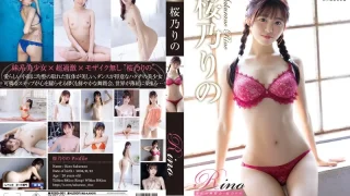 REBD951 - JAV - 46203