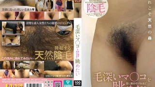 KBMS198 - JAV - 53342