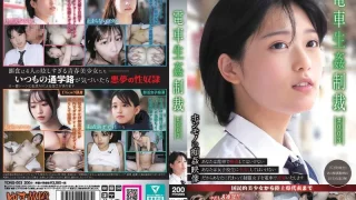 YDNS003 - JAV - 54088