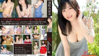 REBD997 - JAV - 55780