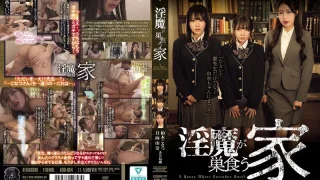 ATID654 - JAV - 66000