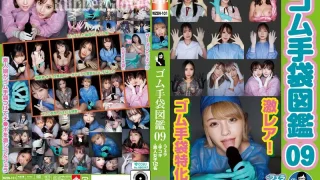 WZEN101 - JAV - 67994