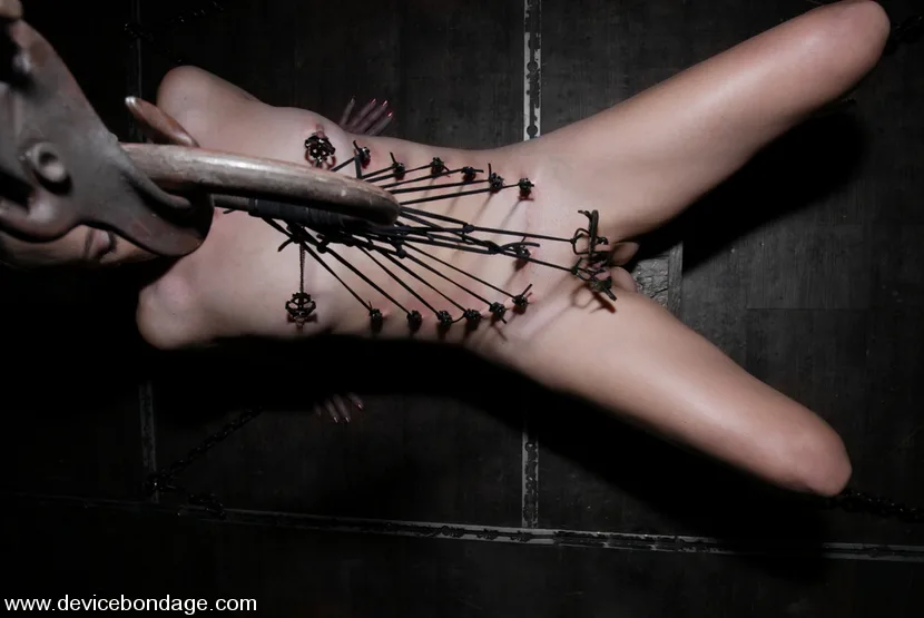 Endurance - Device Bondage - 100