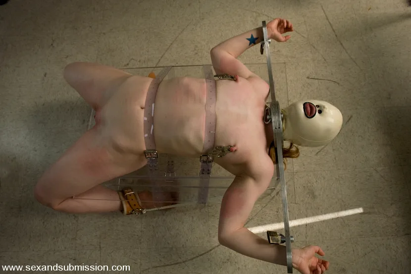 Human Subject Use - Sex And Submission - 1040