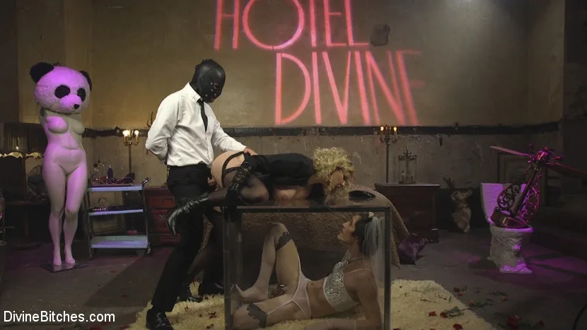 Honeymoon Cuckold At Hotel Divine - Divine Bitches - 12045