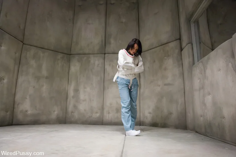 Sunnydale Detention Facility - Wired Pussy - 1208