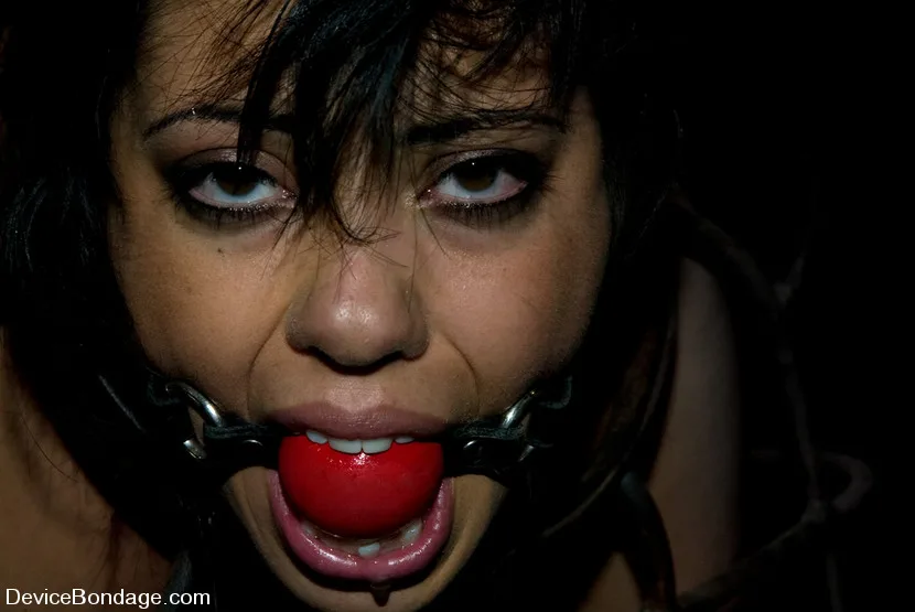 Permutations - Device Bondage - 1354