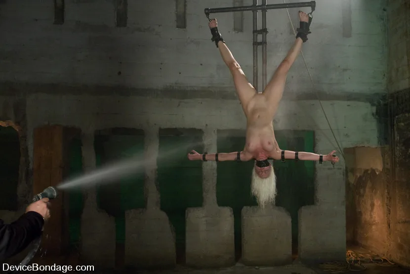 Lorelei LeeBreaking the girl - Device Bondage - 1866