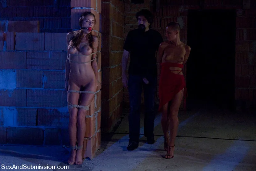 The Dark Crevice - Sex And Submission - 2324