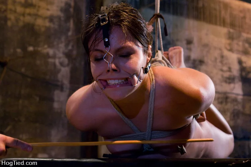 The smile has been wiped off Thea's face - Hogtied - 2330