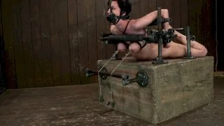 Cherry Torn Hogtied and made to cum so much and so hard that it brings tears. - Device Bondage - 2362