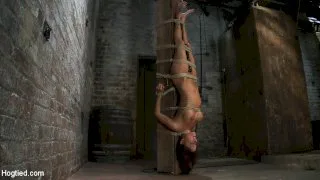 There's something youDon't see everyday. - Hogtied - 3416