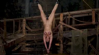 String Her Up, Hose Her Down - Device Bondage - 3609