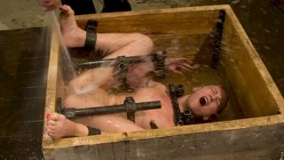 Dirty, Dirty Whore - Device Bondage - 3693