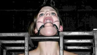 Static - Device Bondage - 404