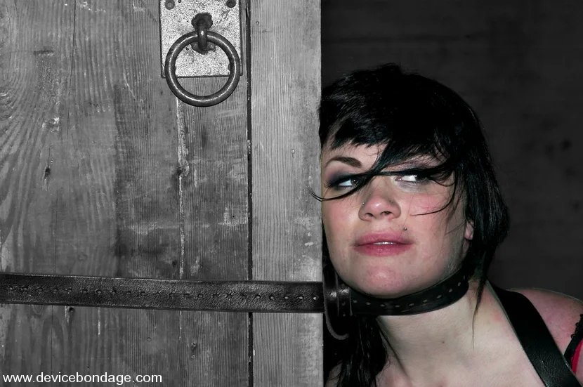 Devaun and Andy San Dimas Live, Part 1 - Device Bondage - 414