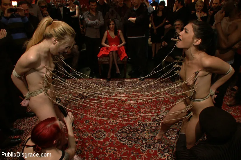 Princess Donna's B-Day Bash - Public Disgrace - 4475