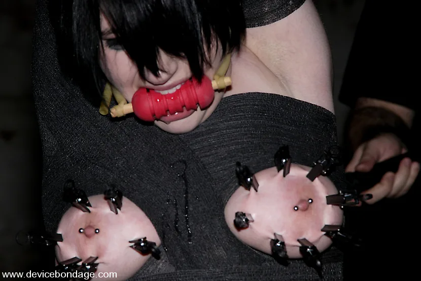 Synesthesia - Device Bondage - 54