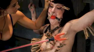 atoms bluff - The Training Of O - 5915