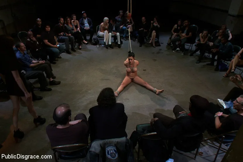 Bad Attitude - Public Disgrace - 5917