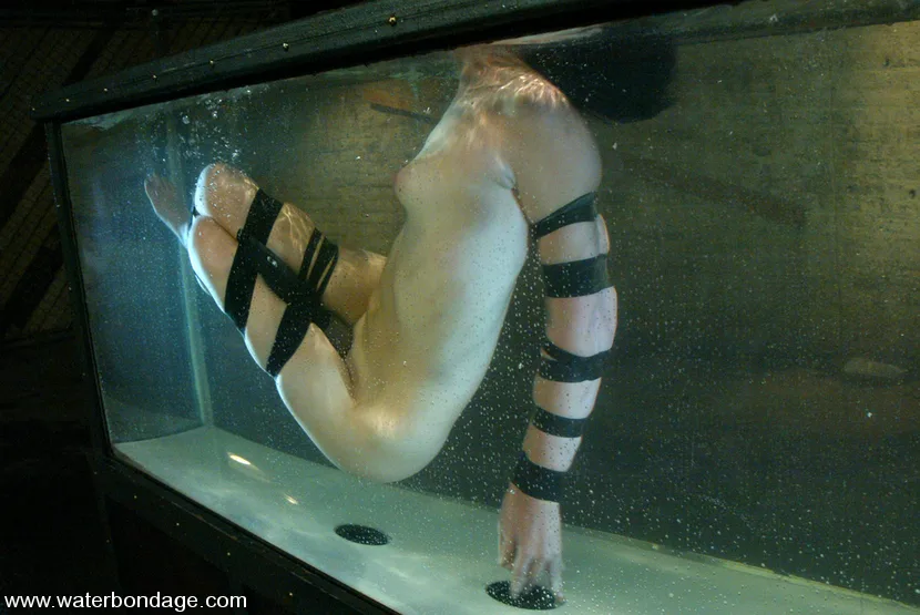 Gretchen Elvgren - Water Bondage - 6363