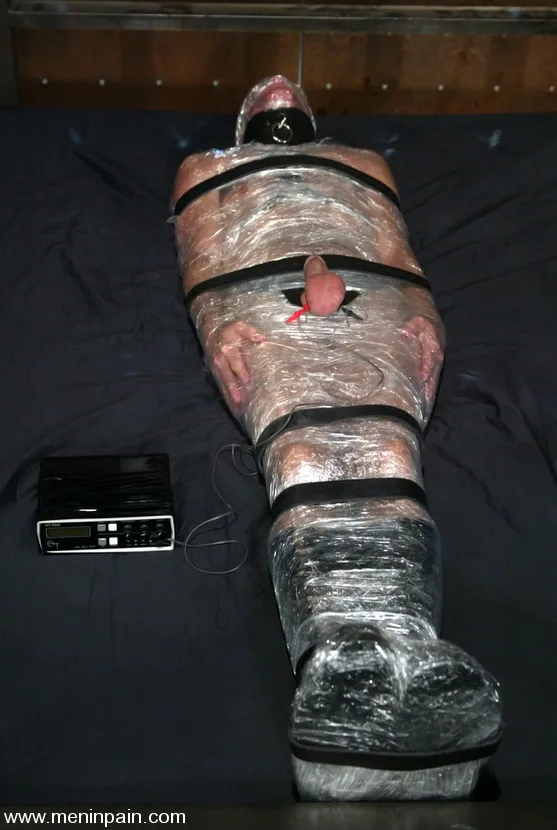 Wild Bill and Harmony - Men In Pain - 7325