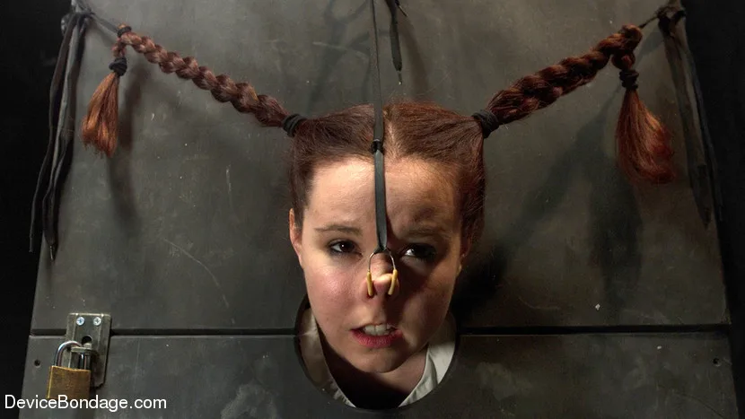 Pig - Device Bondage - 7537