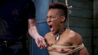 The Training of Nikki Darling, Day One - The Training Of O - 7779