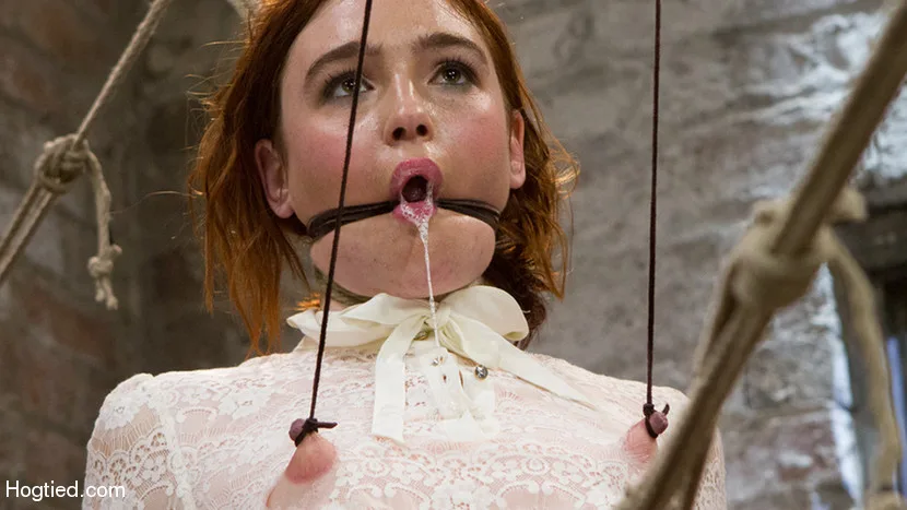 Jodi Taylor: Eager slut elaborately bound, caned, zapped and fucked! - Hogtied - 8023