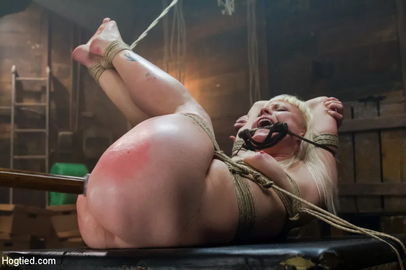 Twisted Tale of a Captive Creamer - Hogtied - 8955