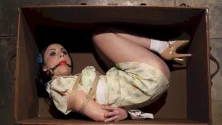 Molested Puppet - Hogtied - 9456
