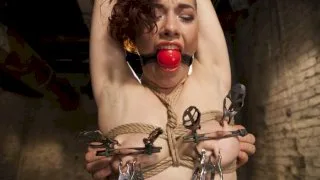 Double Penetration Predicament - Hogtied - 9896