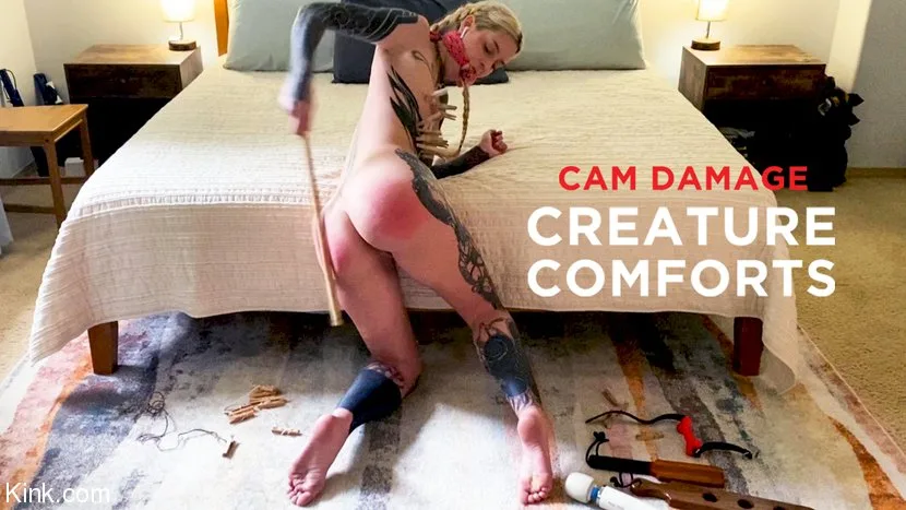 Cam Damage: Creature Comforts - Kinky Bites - 14662