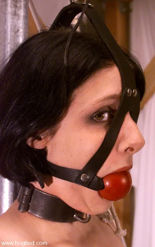 Lily - Hogtied - 15101