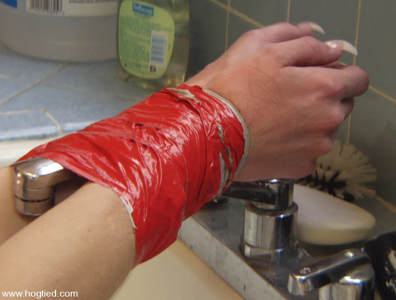 Michelle Monroe - Hogtied - 15173