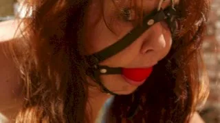 Babydoll - Hogtied - 15329