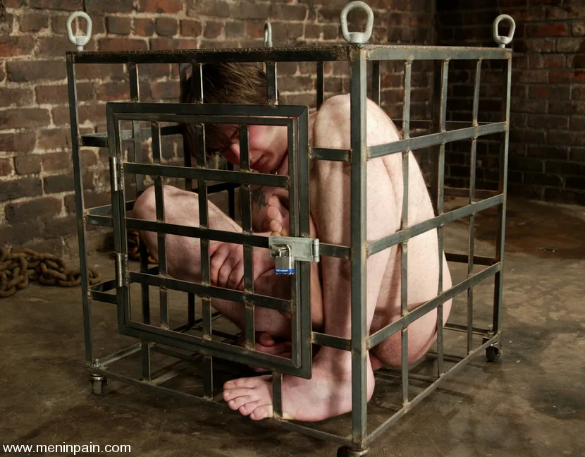 Princess Kali and Neil - Men In Pain - 15473