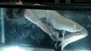 Bobbi Starr - Water Bondage - 17399