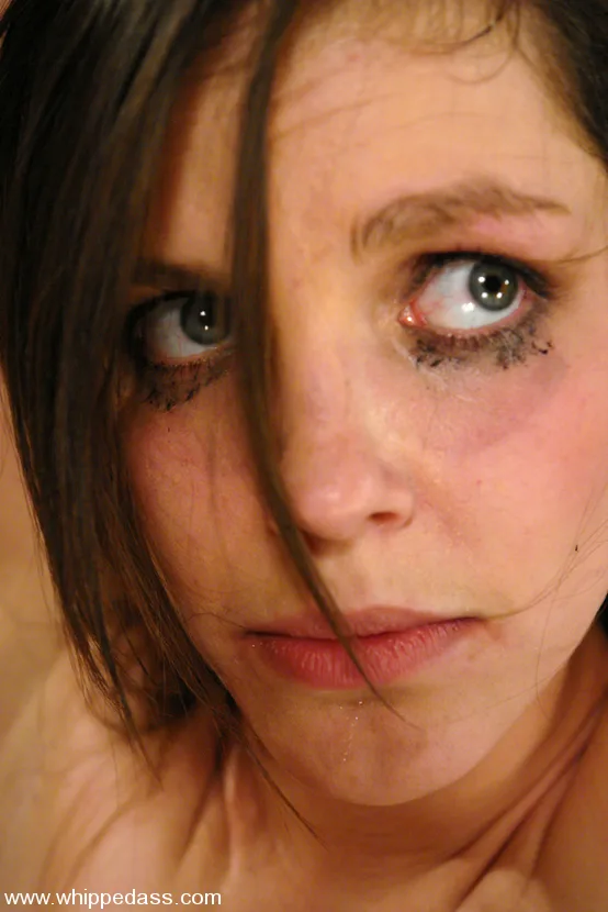 DragonLily and Bobbi Starr - Whipped Ass - 17523